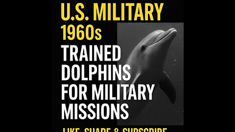 The Navy’s Secret Dolphins