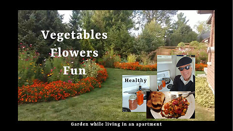 🌱 Grow Organic from an apartment 🌱