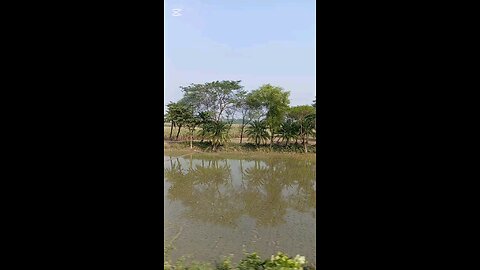 Train Journey -Bangladesh