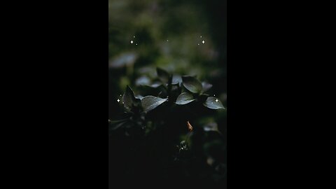 Hadees e nabvi (saw) #islam #viralvideos #islamicreminders #prophetmuhammadsaw #hadeesenabvi