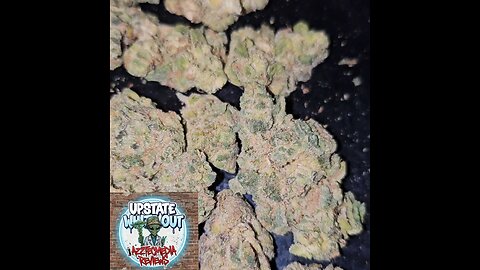 UPSTATE WHITE OUT T23 strain view Azztecmedia Reviews