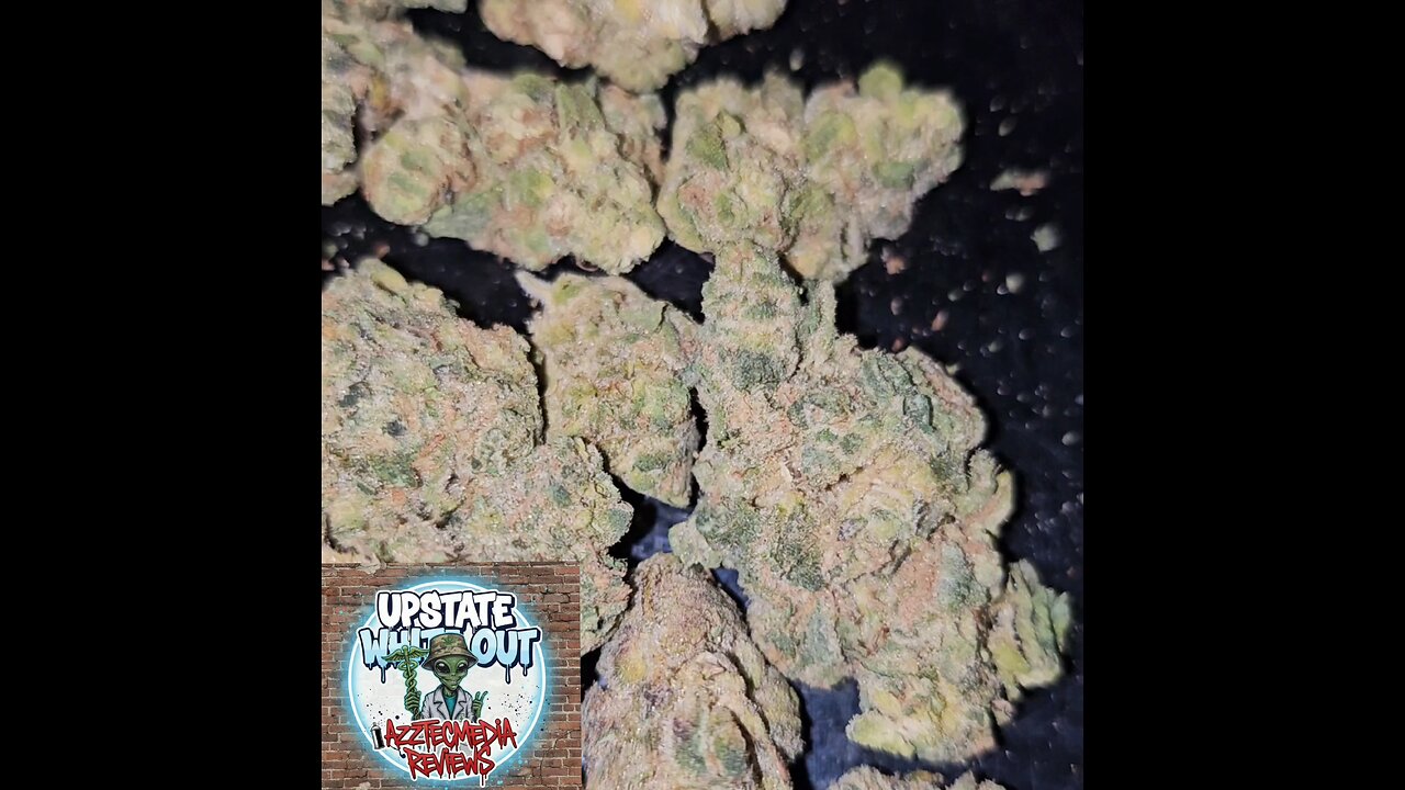 UPSTATE WHITE OUT T23 strain view Azztecmedia Reviews