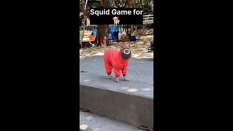 Squid Games