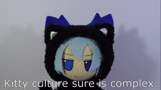 Kitty culture