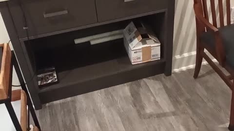 @Mickeyloveskevin, it's just common sense that I'm not 3'5, but am actually 5'8 part 2