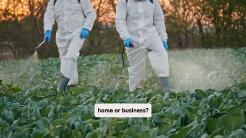 Securing Your Residence directly from Rat Infestations together with Professional