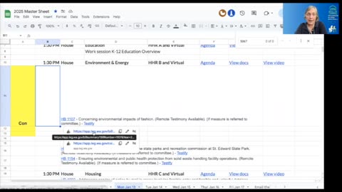 How to use the IOE 2025 Master Spreadsheet