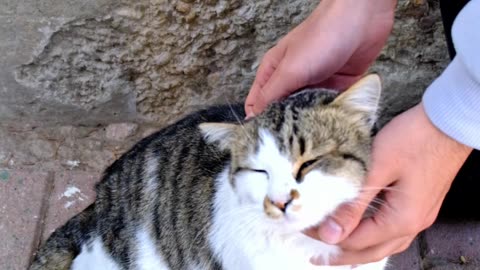 Gentle head massage, and she instantly relaxes