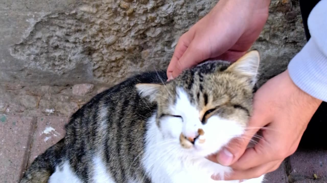 Gentle head massage, and she instantly relaxes