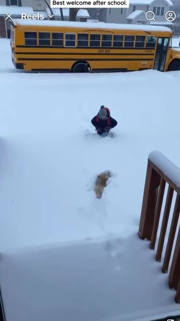 Child is met by best friend golden retriever after being dropped off by school bus in the snow