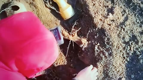 finds from under the yir