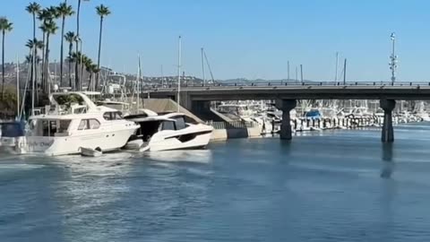 WATCH: Wild crash on the docks today in Dana Point, California. Fortunately no one was hurt