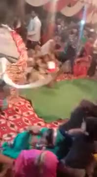 Do They Worship Cow?