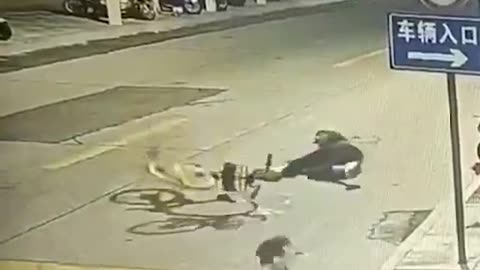 Imagina que vas en bicicleta y te pilla un gato