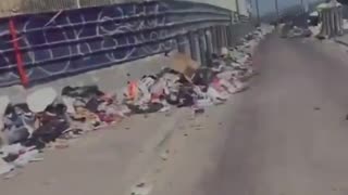 Discover Marseille, French city with the highest percentage of Islamic immigrants.