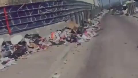 Discover Marseille, French city with the highest percentage of Islamic immigrants.