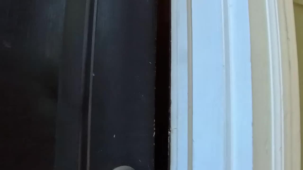 FOUND A PROBLEM 😤🏠 | This Could Kill Our Weekend Tours