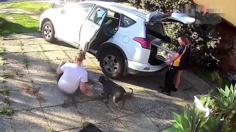 WARNING: You Can’t Watch This Without Laughing 🤣 Try Not To Laugh