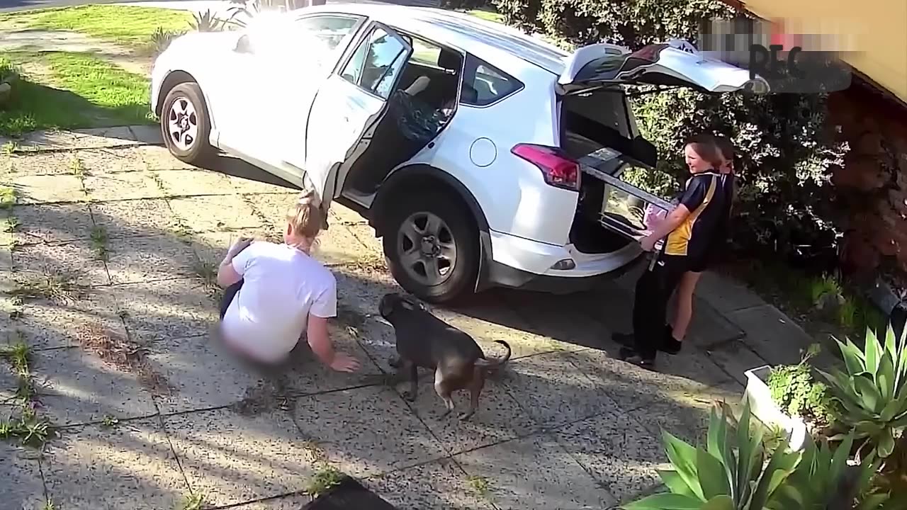 WARNING: You Can’t Watch This Without Laughing 🤣 Try Not To Laugh