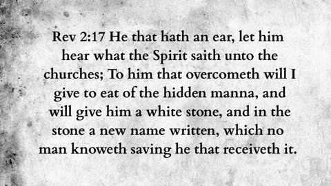 Martus Ministry -485- Raven bread