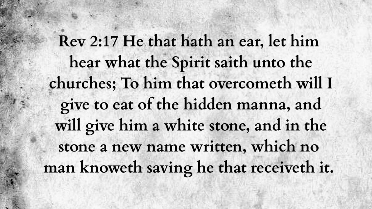 Martus Ministry -485- Raven bread