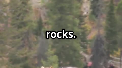 All the Animals You’ll See in Crater Lake National Park 🦌🦅🐿️