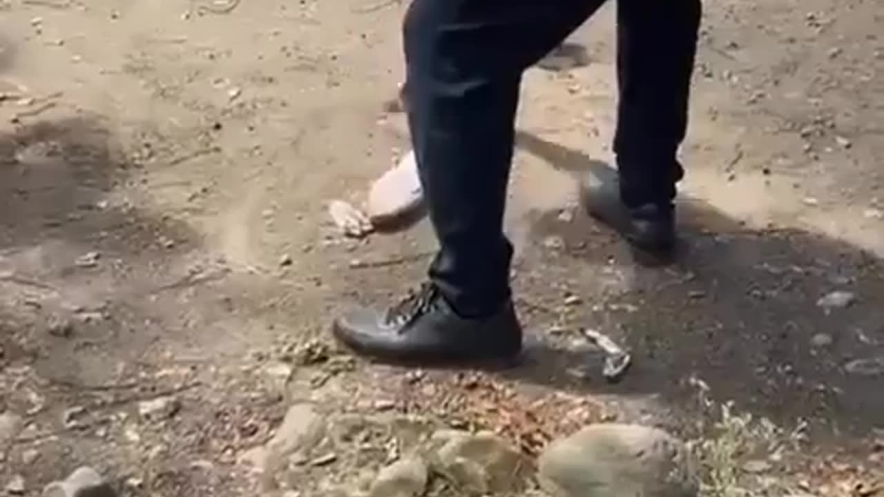 😱🤯 What's Inside This Mysterious White Cloth? | FunFM