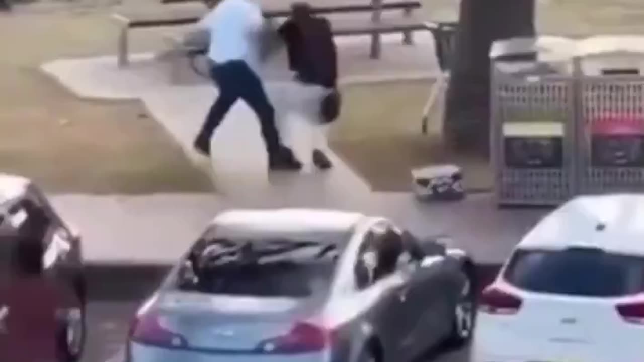 Found your Aussie Hero for the day.