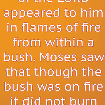 "The Burning Bush: God's Call to Moses" Exode 3:2#shortvideo #shorts #youtube #jesus #ytshorts #yt
