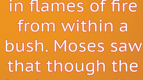 "The Burning Bush: God's Call to Moses" Exode 3:2#shortvideo #shorts #youtube #jesus #ytshorts #yt