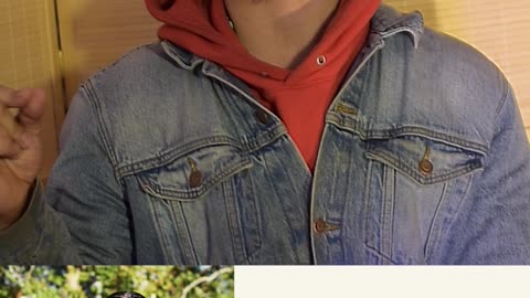 Prioritize the things you do everyday by Ed Delacruz #health #healthy #healthadvice #reels #shorts