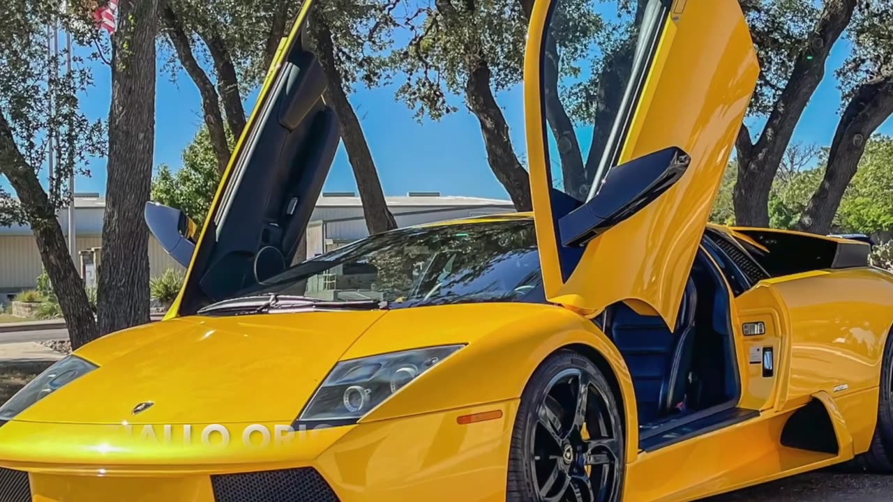 Lamborghini GIALLO Colors video