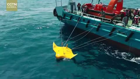 Una nueva herramienta para proteger los arrecifes de coral