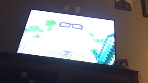 Minecraft video Part nine