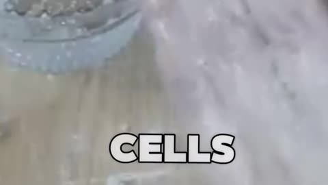 Dark Neck & Sensitive Areas Try This 1 Powerful Whitening Remedy!