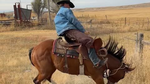 Horse Suddenly Bucks Off Rider