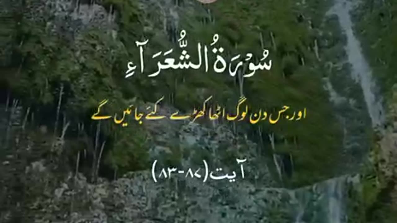 Ameen summa Ameen 🤲🏻🤲🏻🤲🏻✨🕊️