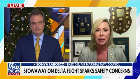 Expert rails against TSA for ‘abysmal performance’ after stowaway situation