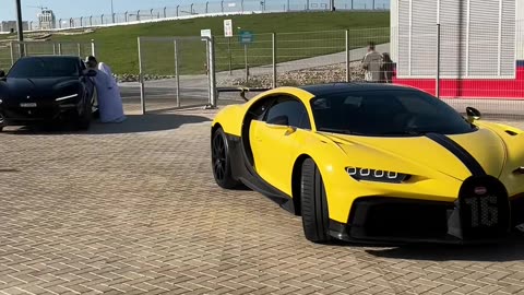 🤯💨 This Dodge Challenger SRT Hellcat's V8 Rev Sound is PURE Symphony! | LuxurySportsCars