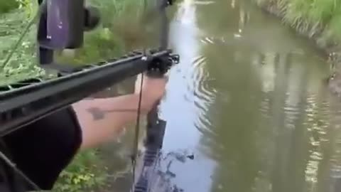 Behold…. the assault crossbow….