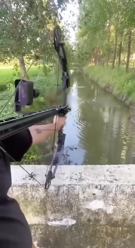 Behold…. the assault crossbow….