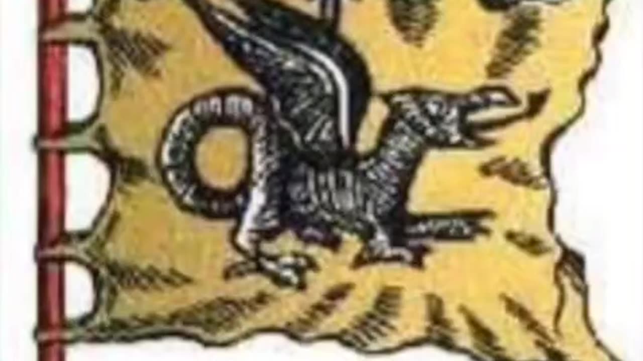 Griffin