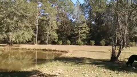 the sons and daughters of Robert