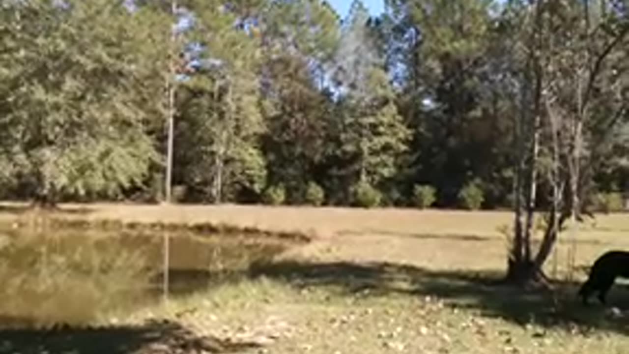 the sons and daughters of Robert