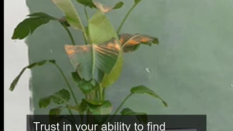 Daily Horoscope | Virgo 🌟