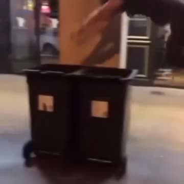 Funniest Video Compilation | Try Not to Laugh! 😂