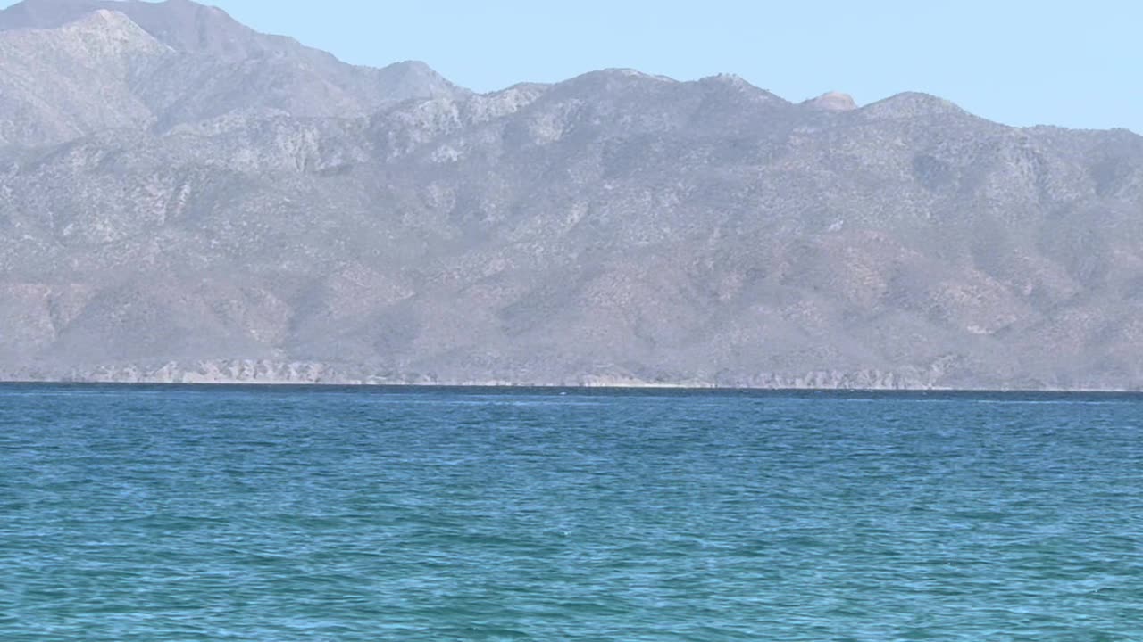 GLP 1 y tu Microbioma: Las Bacterias Clave Bifidobacterium, Lactobacillus, Akkermansia ES