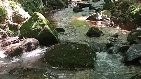 Relaxing sound of water running through the river!