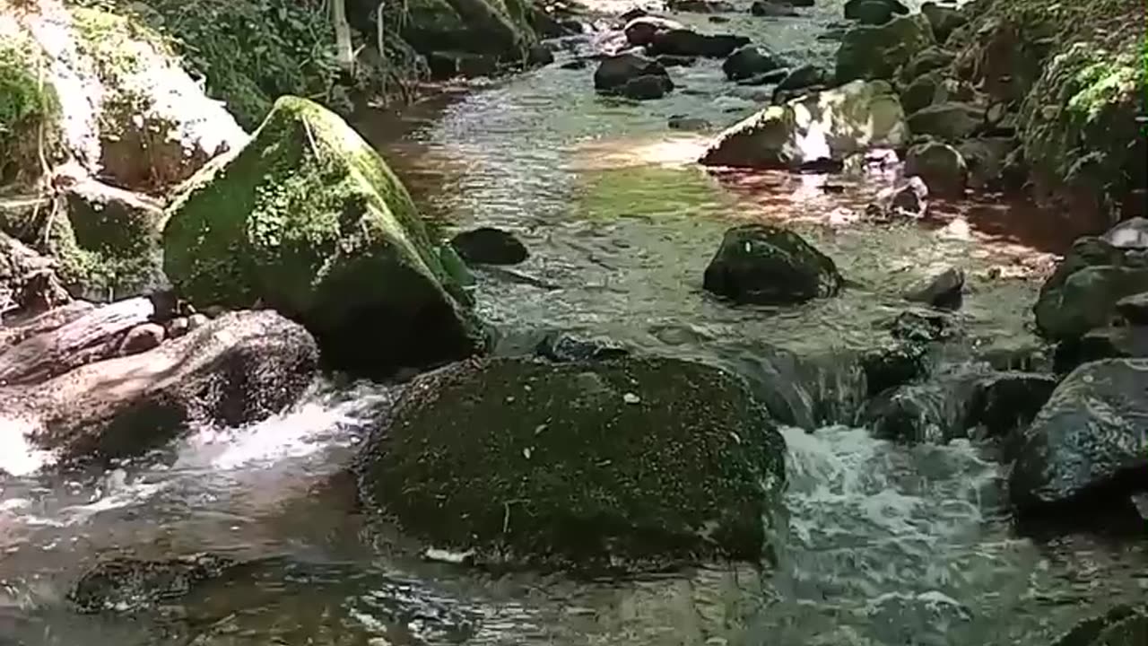 Relaxing sound of water running through the river!