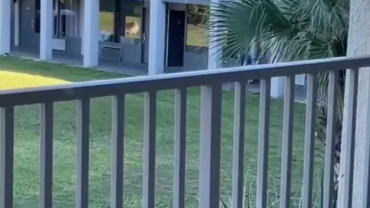 Armed man holding a woman hostage at Heritage Park Inn Kissimmee